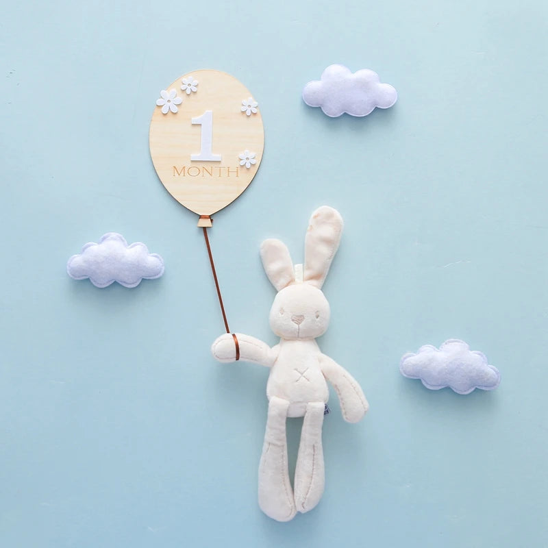 Wooden Milestone Cards – Month-by-Month Baby Photos